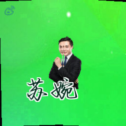 苏婉